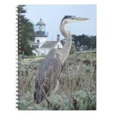 Heron And The Lighthouse Notebook Light Gifts Template Style Unique Special Diy Lighthouse Diy Notebook Heron