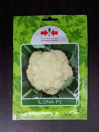 Gratis untuk komersial tidak perlu kredit bebas hak cipta. Jual Benih Bunga Kol Ilona 10 Gram Kualitas Terbaik Dadi Makmur