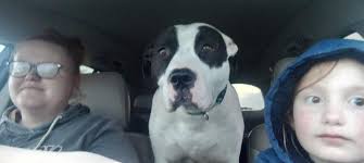 Throwback to when my boys first got boots ❤️ it did not go well....