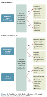 Your doctor will want to discuss treatment options as well as the prognosis for bladder cancer. Emerging Categories Of Disease In Advanced Prostate Cancer And Their Therapeutic Implications