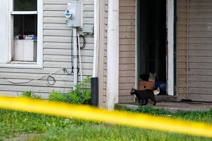 Scene at home on Ohmer Street in Hamden, where 16 children were rescued, 4  adults arrested