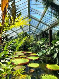 Xardín botánico de curitiba (gl); Maior Jardim Botanico Do Mundo Tera Um Brasileiro Como Diretor De Ciencia Maringa Post