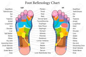 Foot Reflexology Chart With Accurate Description Of The Corresponding
