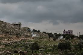 Join the open classroom of the arab and muslim ethnicities and diasporas (amed) studies and the national black education agenda, and ifco for oral histories and critical analysis by. Life Under Occupation The Misery At The Heart Of The Israel Gaza Conflict The New York Times