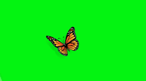 Pin On Hd Video Background