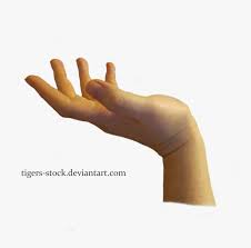 Hand Png Download Image Statue Hand Png Transparent Png Transparent Png Image Pngitem Here on free pngs you can browse and download 70,000+ free transparent png images straight to your desktop. hand png download image statue hand