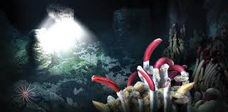 Image result for Ocean Mist 1977 Hussmann