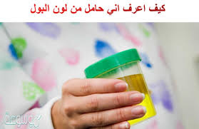كيف اعرف اني حامل من لون البول عالم حواء