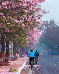 Vikhroli - Ghatkopar