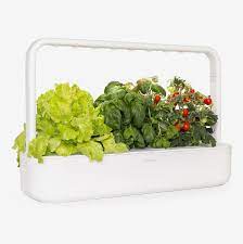 And indoor vegetable garden systems help you do just that! 15 Best Indoor Garden Kits 2021 The Strategist