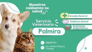 MyVET Centro veterinario Palmira