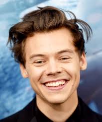 Instagram ⇾ Harry Styles ✓