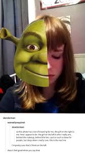 24 Shrek Posts That You Should Let No Innocent Child See Discover 433 free shrek png images with transparent backgrounds. should let no innocent child see