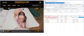 How to download videos using a browser from any site - howto - EroScripts