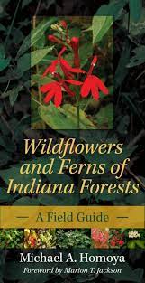Native indiana plants are best suited for the soil and weather conditions in our area. Wildflowers And Ferns Of Indiana Forests A Field Guide Indiana Natural Science Homoya Michael A Jackson Marion T 9780253223258 Amazon Com Books