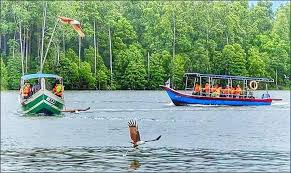 We contacted khairul of kuala sepetang eco tourism and was fortunate he was taking a group out and we could join in. Kuala Sepetang Eco Tourism Matang Mangrove Forest Reserve Tour Bird Watch Fireflies Sighting