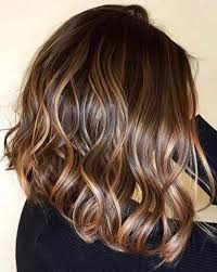 Pin By Ana Ursulino On My Favorite Bikini Hair Highlights Hair Color Light Brown Brown Hair With Caramel Highlights