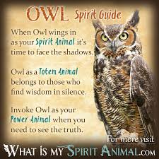 Many individuals feel that if they work with an owl closely, over a certain period of time, the owl will become tame. Owl Symbolism Meaning Spirit Totem Power Animal