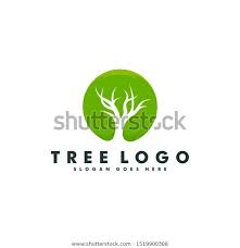 Garden Care Logo Garden Gardencare Tree Logo Design Forest Icon Vector Stock Vector Royalty Free 1519900388 Abstract Bio B Baum Logos Logo Design Design