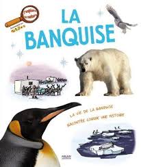 Énorme, puissant et majestueux, l'ours blanc vit dans le royaume des chutes de neige et de la dérive des glaces. Catalogue