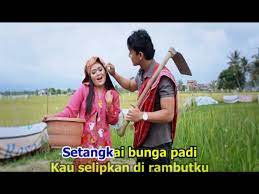 Setangkai bunga padi artist : Rani Chania Setangkai Bunga Padi Bersama Kita Bisa
