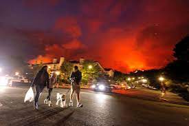 A brush fire that has scorched 10 to 15 acres was burning in pacific palisades early saturday. Rgkwt0fcnrrpmm