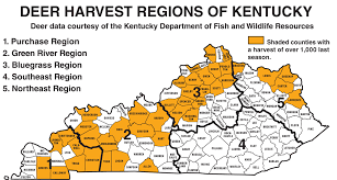 2011 Kentucky Deer Hunting Our Top Hunting Areas