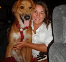 I don't know how they do it! Aussie Pet Mobile Greater Nashville Middle Tn Nashville Tn Pet Grooming Mapquest