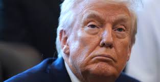 Seawater's role in surfing the AI wave