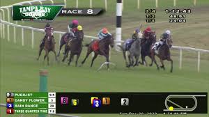 Let's spell out the facts surrounding what's going on with 2021 kentucky derby winner medina spirit and trainer bob baffert for you so we're not all confused: Horse Race Insider Hri