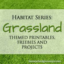 Habitat Series Grassland Themed Printables Freebies And Projects Homeschool Giveaways Habitats Projects Grassland Biome Habitat Activities