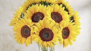 It just seems that having 18 plants in an area of 1800 sqft seems little excessive, it will look like a jungle. 1 800 Flowers Com Opening Atlanta Distribution Center Atlanta Business Chronicle