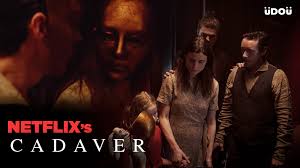 In the tall grass is the first of three stephen king books netflix has adapted into movies thus far while the movie is certainly not scary, the first time the yellow honey infection is quite shocking. The Shining Meets Every Horror House Ever In Norwegian Netflix Horror Film Cadaver Udou Ph