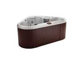 The tl indicator light will light when the set temperature is locked. Sundance Tacoma 680 Series Sundancespas Com Sundance Spas