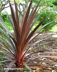 Deer Resistant Bloom Day Foliage Follow Up Digging Xeriscape Landscaping Low Water Plants Xeriscape