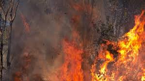 Please keep your content in accordance. What Is Burning Tigtag