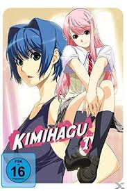 Best Hentai Series