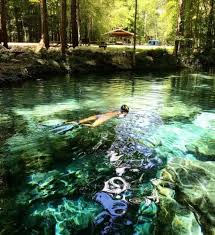 Aug 17, 2020 · >>> where to stay near ginnie springs and gilchrist blue springs state park: Kayaking Santa Fe River Splendid Springs Scenery