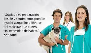 Cada 12 de julio se celebra en méxico, el día del abogado; Dia Del Medico Veterinario Zootecnista En Mexico Tienda De Mascotas Kaleb