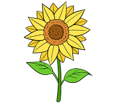 The lead doesn't need sharpening and it gives a clear, crisp line to my pencil flower drawings. How To Draw A Sunflower Really Easy Drawing Tutorial Sunflower Drawing Flower Drawing Drawings