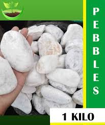 We did not find results for: 1 Kg Big White Pebbles Lazada Ph