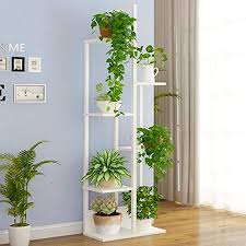 Le piante autunnali da interno includono sia sempreverdi che fiori tipici di questa stagione come i crisantemi. Le Migliori 7 Fioriere Da Interno Classifica 2021