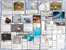 The Razzle Dazzle Classroom Arctic Animals Extravaganza Arctic Animals Arctic Habitat Animal Facts