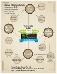Cations dissolve into water because their in light of the role of weak organic acids, how could one boost the cec of one's biochar? Buy Biochar Fertilizer With Carbon Credits At Selectcarbonchar Visual Ly