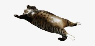 Fat Cat Png Battle Cats Transparent Png 720x552 Free Download On Nicepng