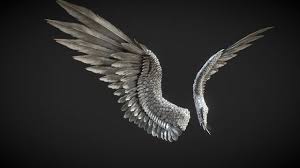 Big Black Bird With White Wing Tips Pin On Drawing