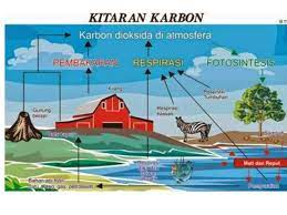 Kitar karbon bermula dengan pengikatan gas karbon dioksida oleh tumbuhan hijau melalui prosesfotosintesis. Bab 7 Tingkatan 1 Udara Pdf Txt