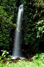 We did not find results for: Air Terjun Tirta Gumarang Air Terjunku