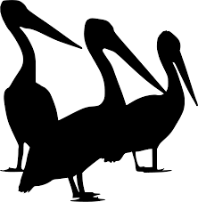 Svg Water Bird Pelican Free Svg Image Icon Svg Silh