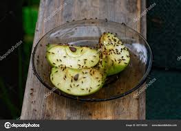 Drain flies Stock Photos, Royalty Free Drain flies Images | Depositphotos